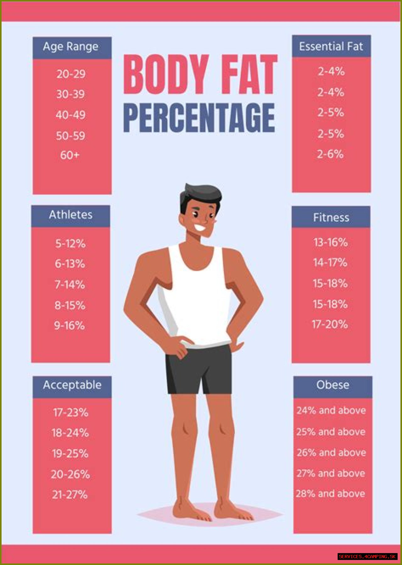A Comprehensive Analysis Of Her Body Fat Percentage